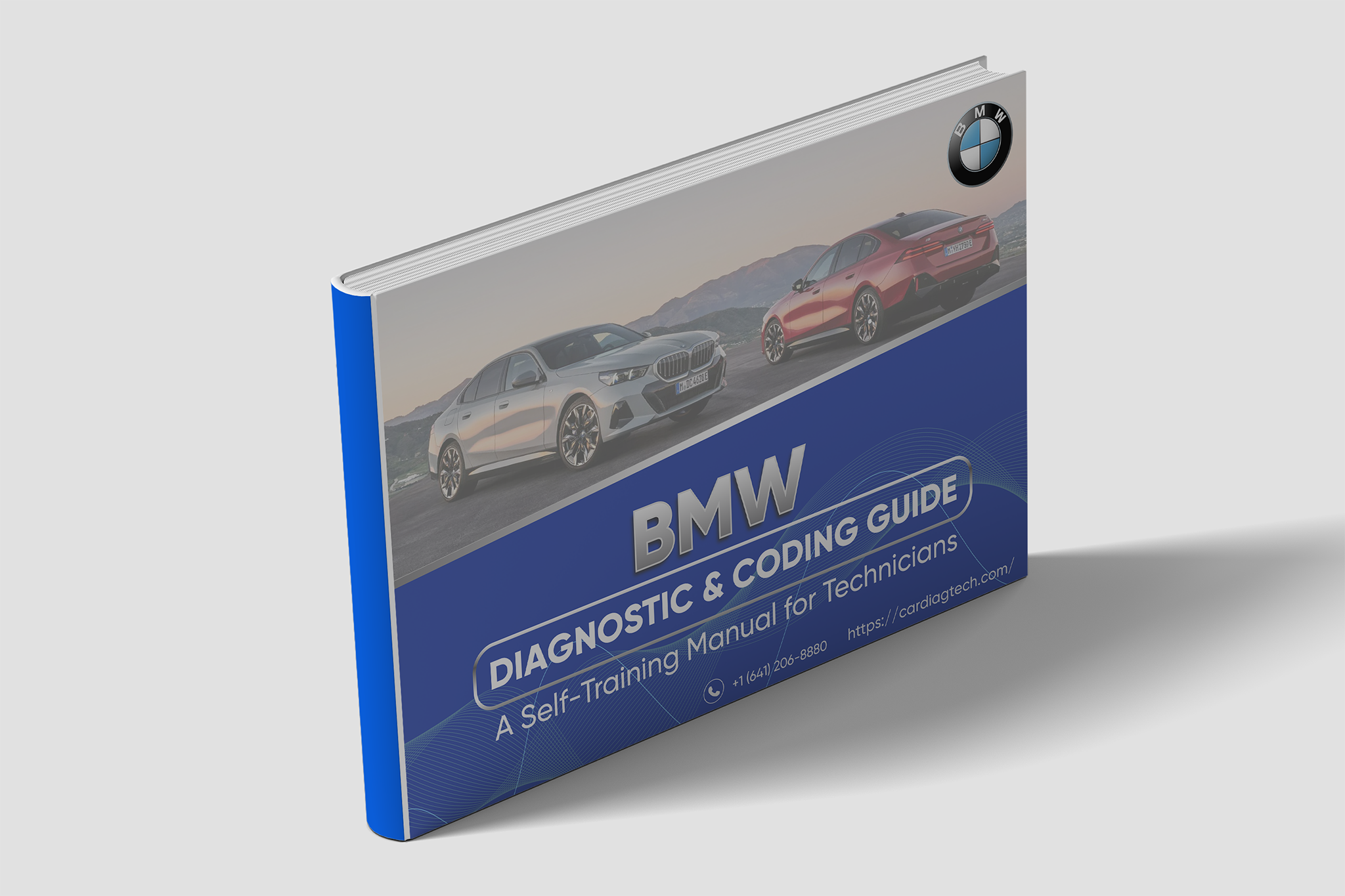 BMW Diagnose Selbst-Training