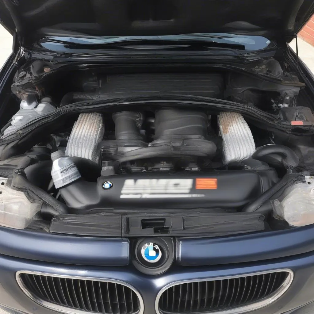 BMW E46 Motorraum Reinigung