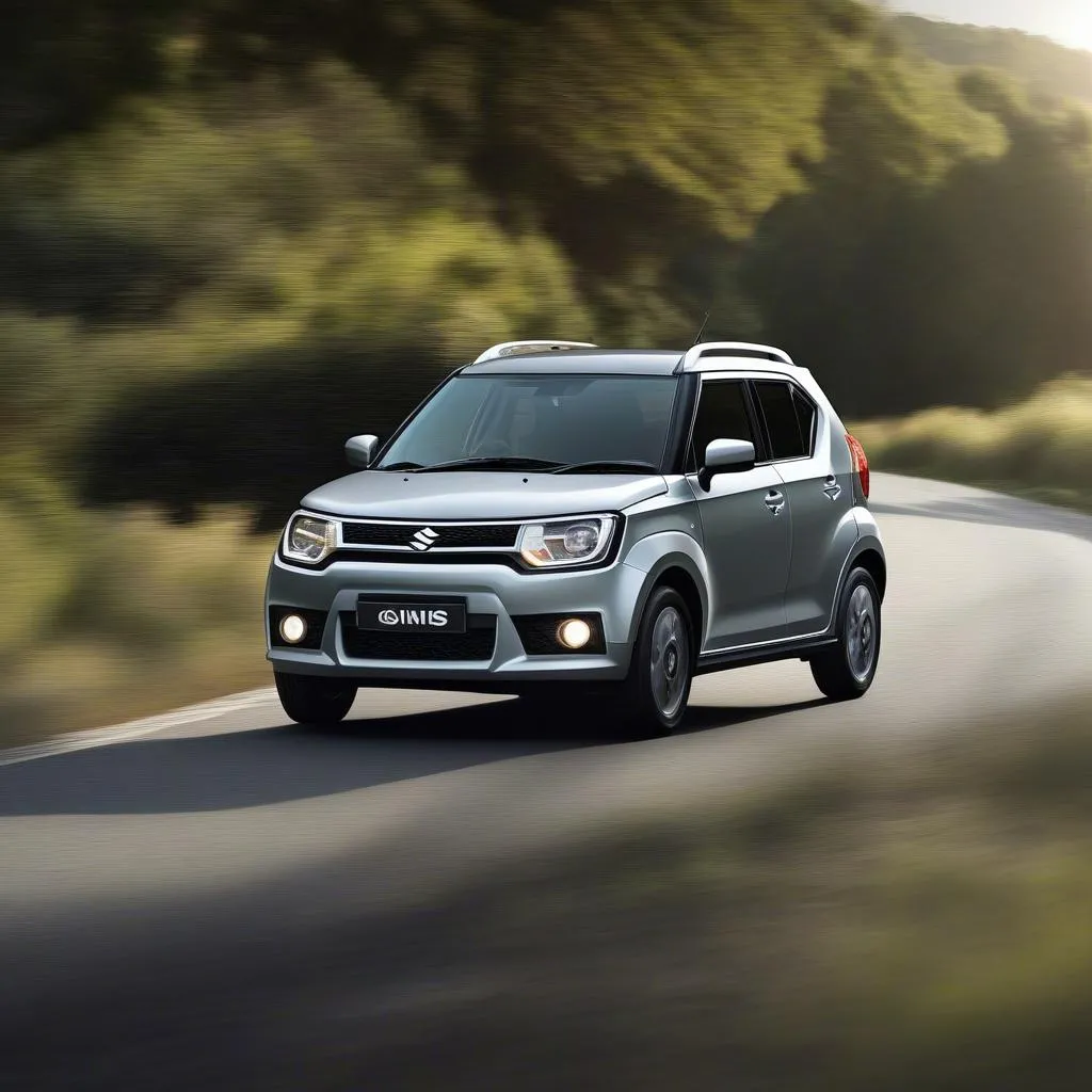 Suzuki Ignis Hybrid auf der Landstraße