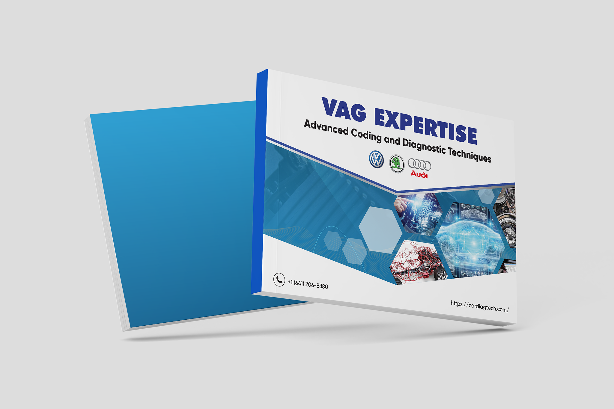 VAG Expertise