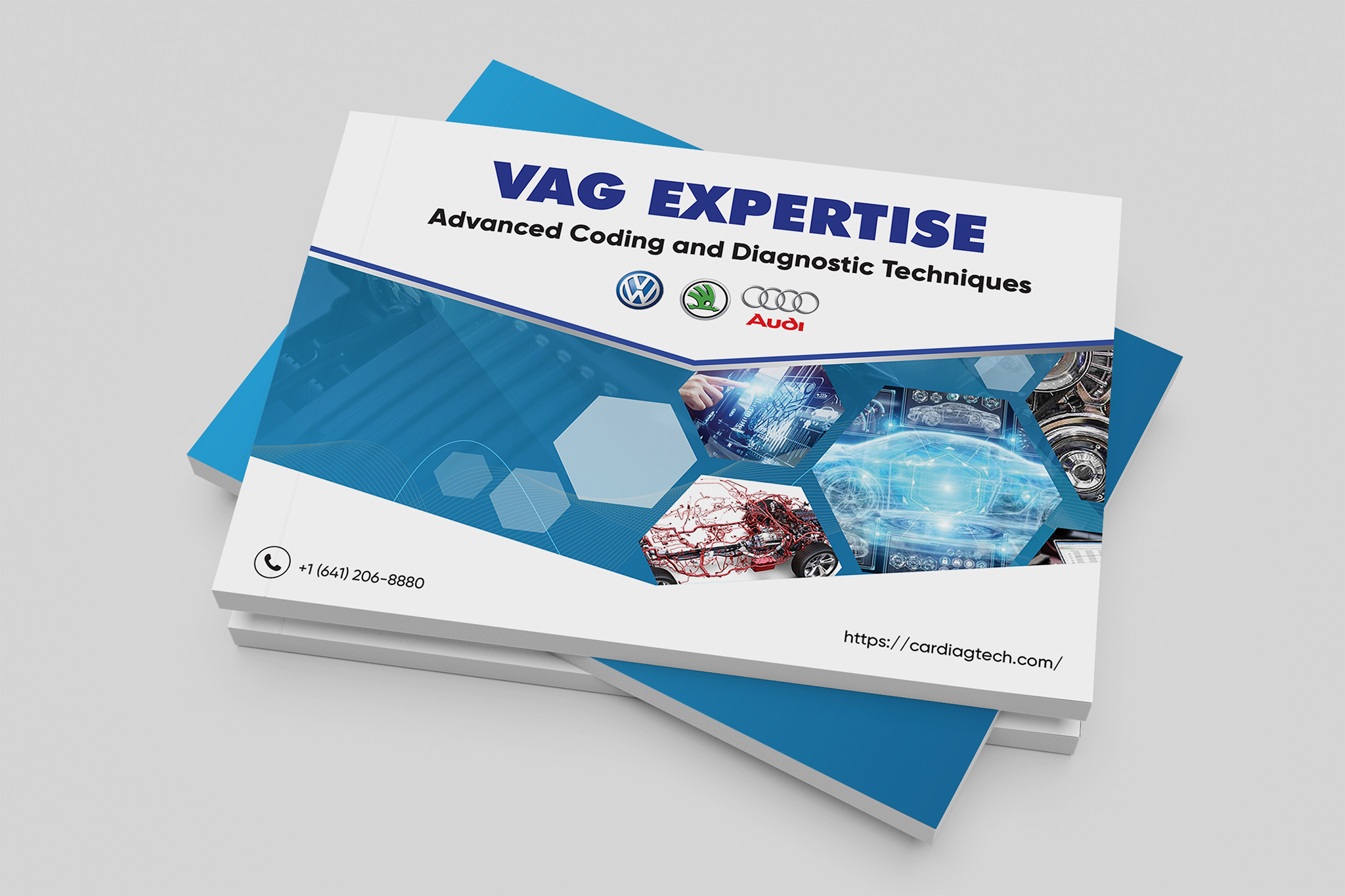 VAG Expertise