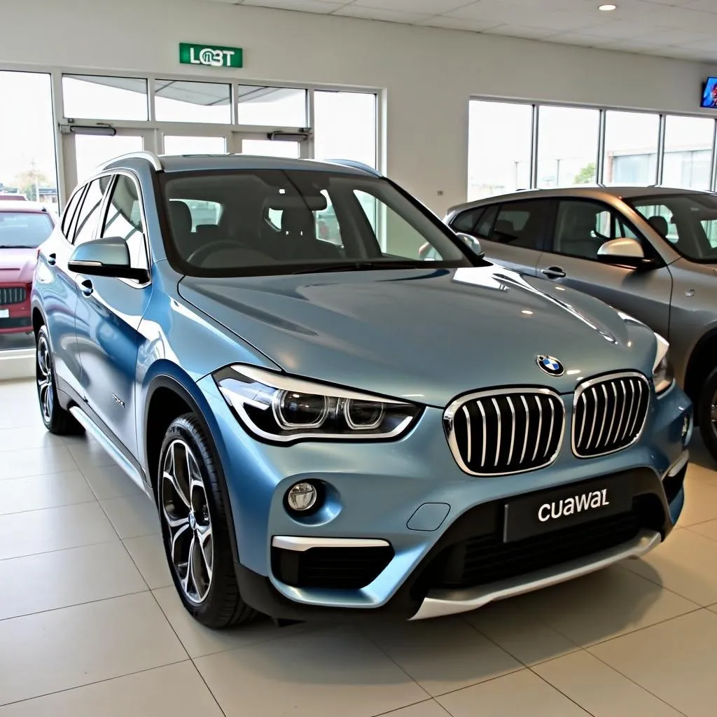 BMW X1 Diesel Gebrauchtwagen Kaufberatung