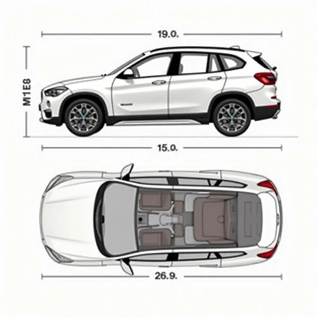 BMW X1 E84 Abmessungen und Innenraum