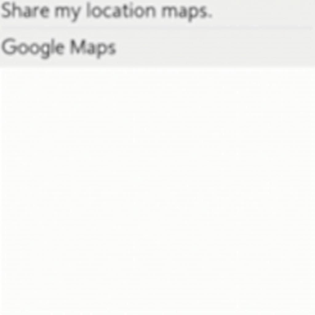 Google Map Teilen Einstellungen