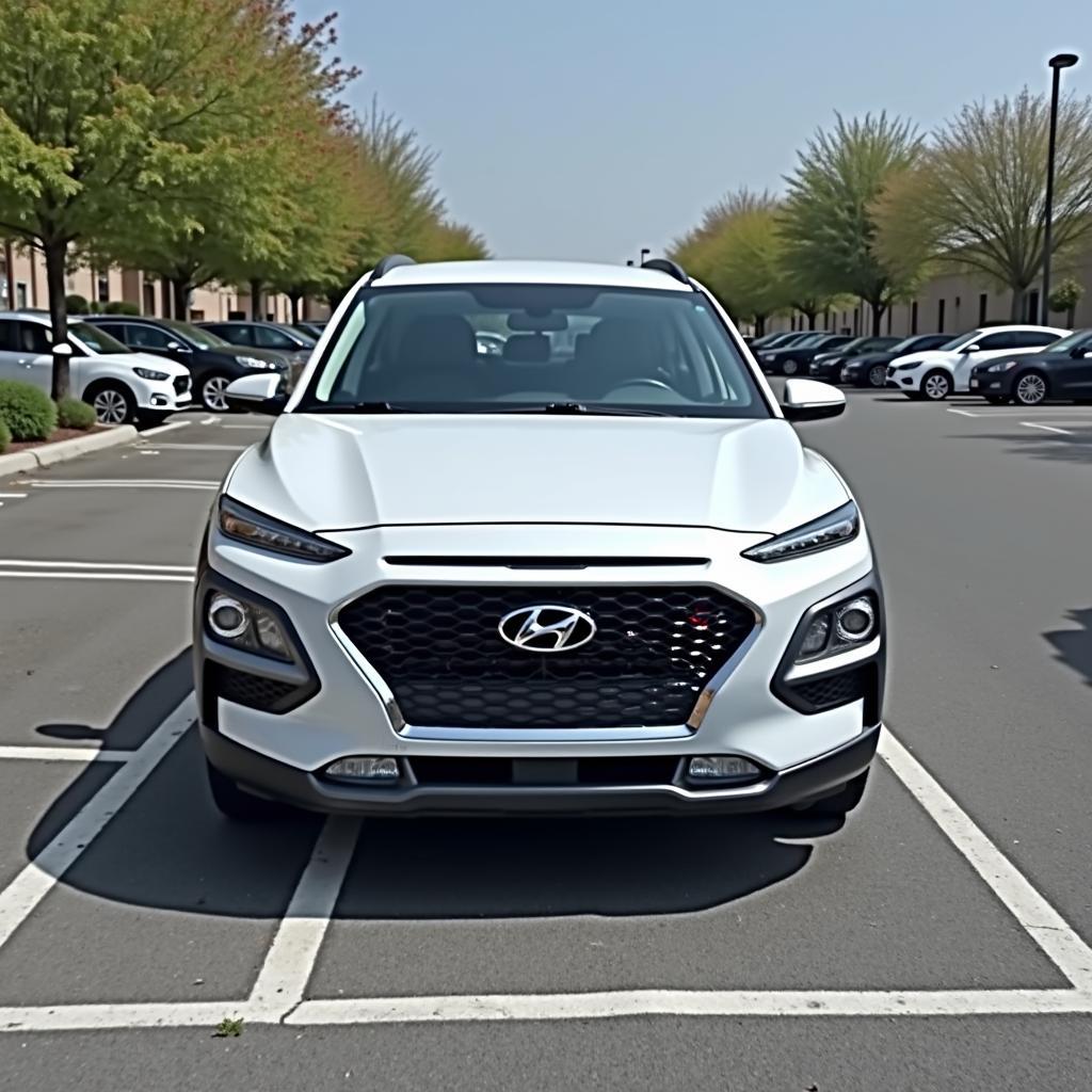 Hyundai Kona Einparken