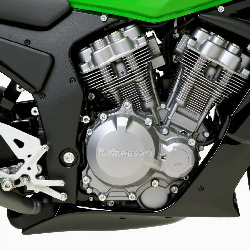 Kawasaki ZX6R 2008 Motor