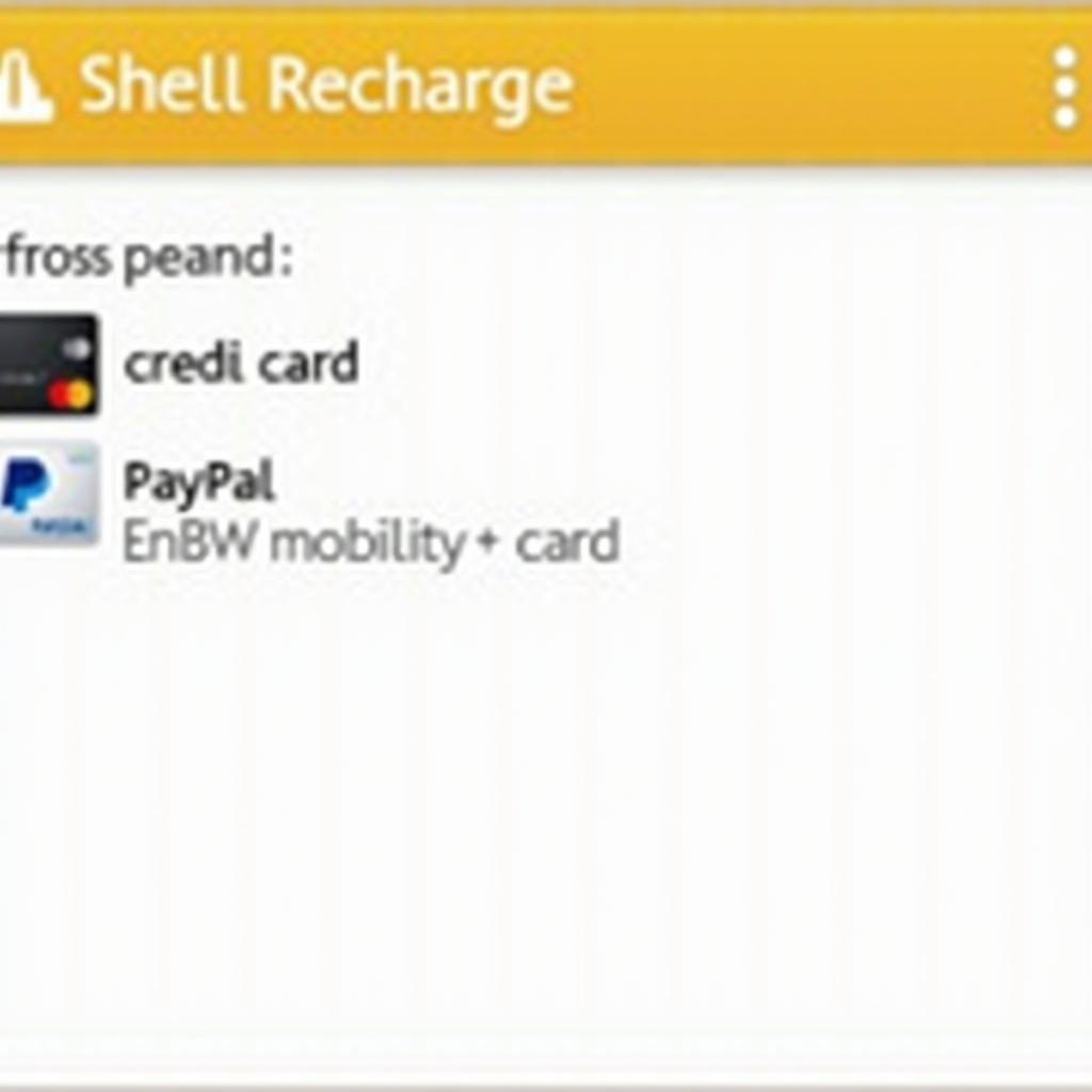 Zahlungsmöglichkeiten in der Shell Recharge App