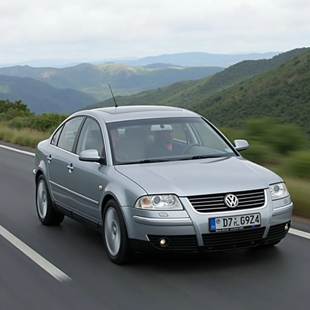 VW Passat 1.9 TDI auf der Straße