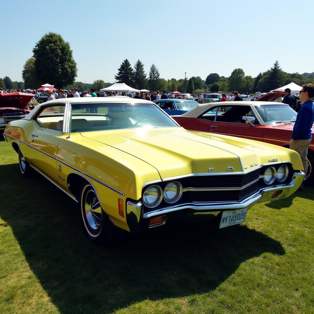 Der 72er Ford LTD als Blickfang auf einem Oldtimer-Treffen.