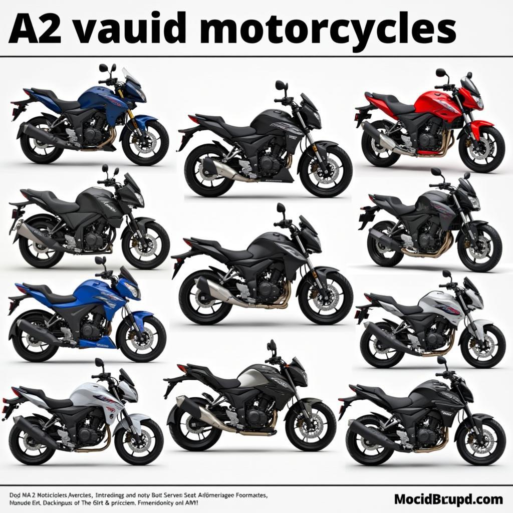 Auswahl an A2 Motorrad Modellen