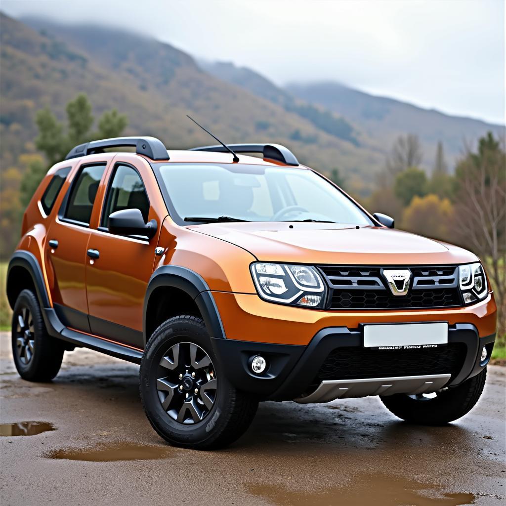 Gebrauchter Dacia Duster: Außenansicht