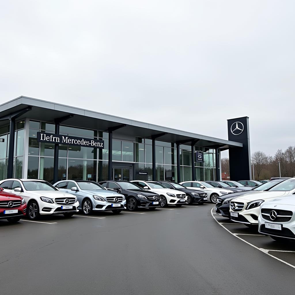 Große Auswahl an gebrauchten Mercedes-Benz Fahrzeugen in München