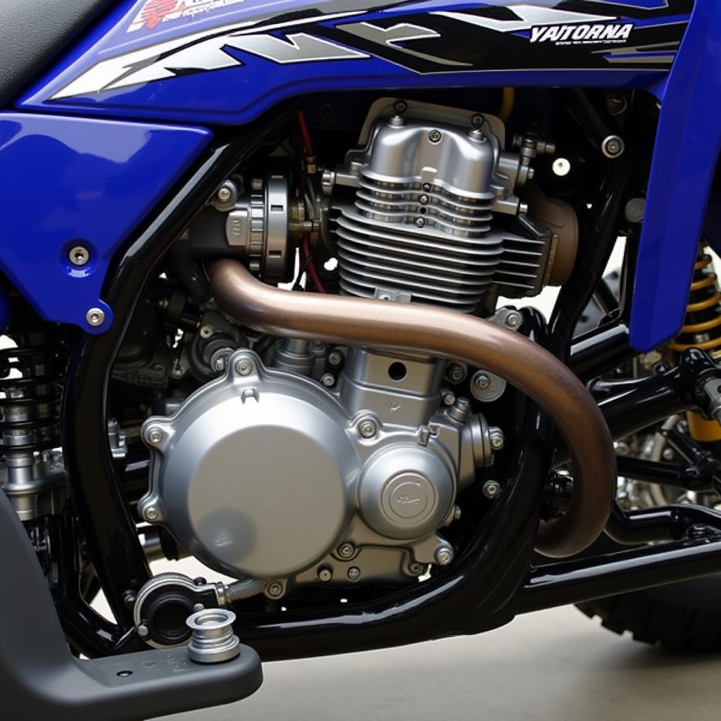 Yamaha Raptor 700 YFM Motor